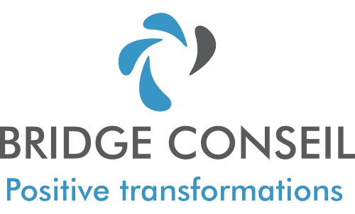 Bridge Conseil Positive Transformations
